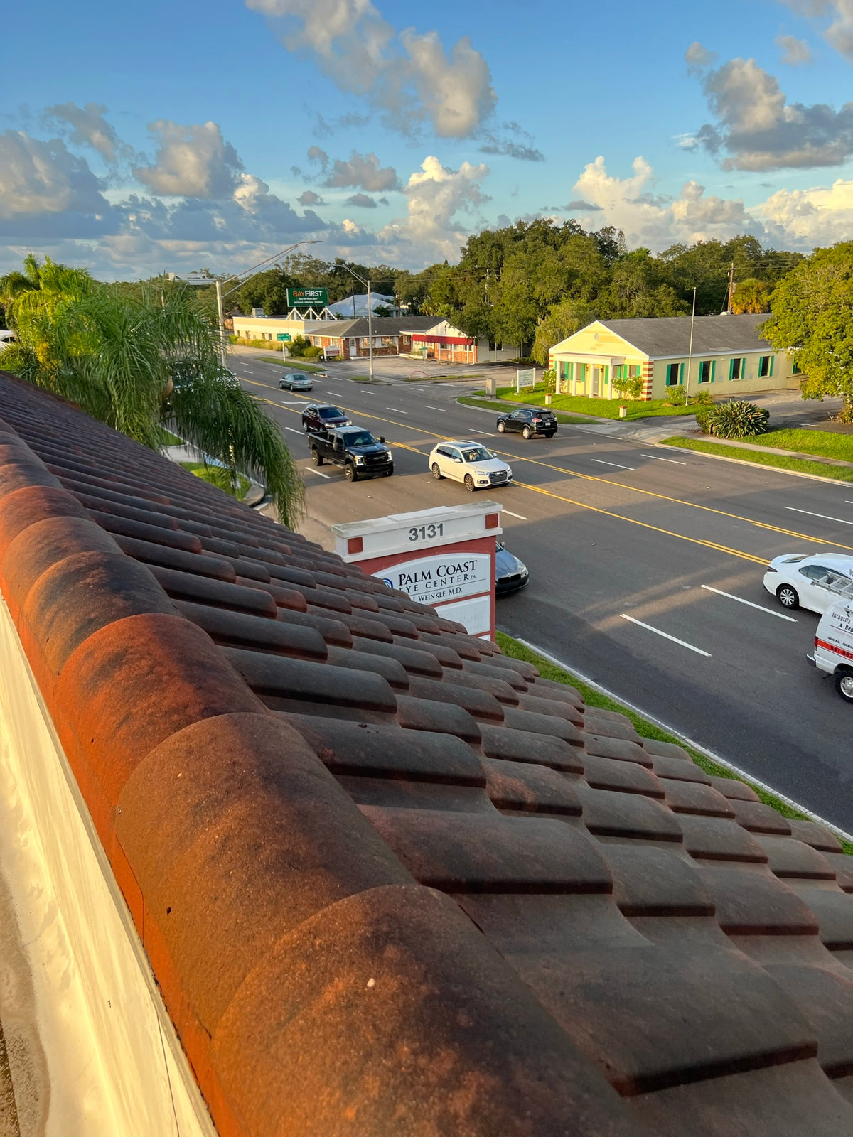 Roof Soft Wash before
