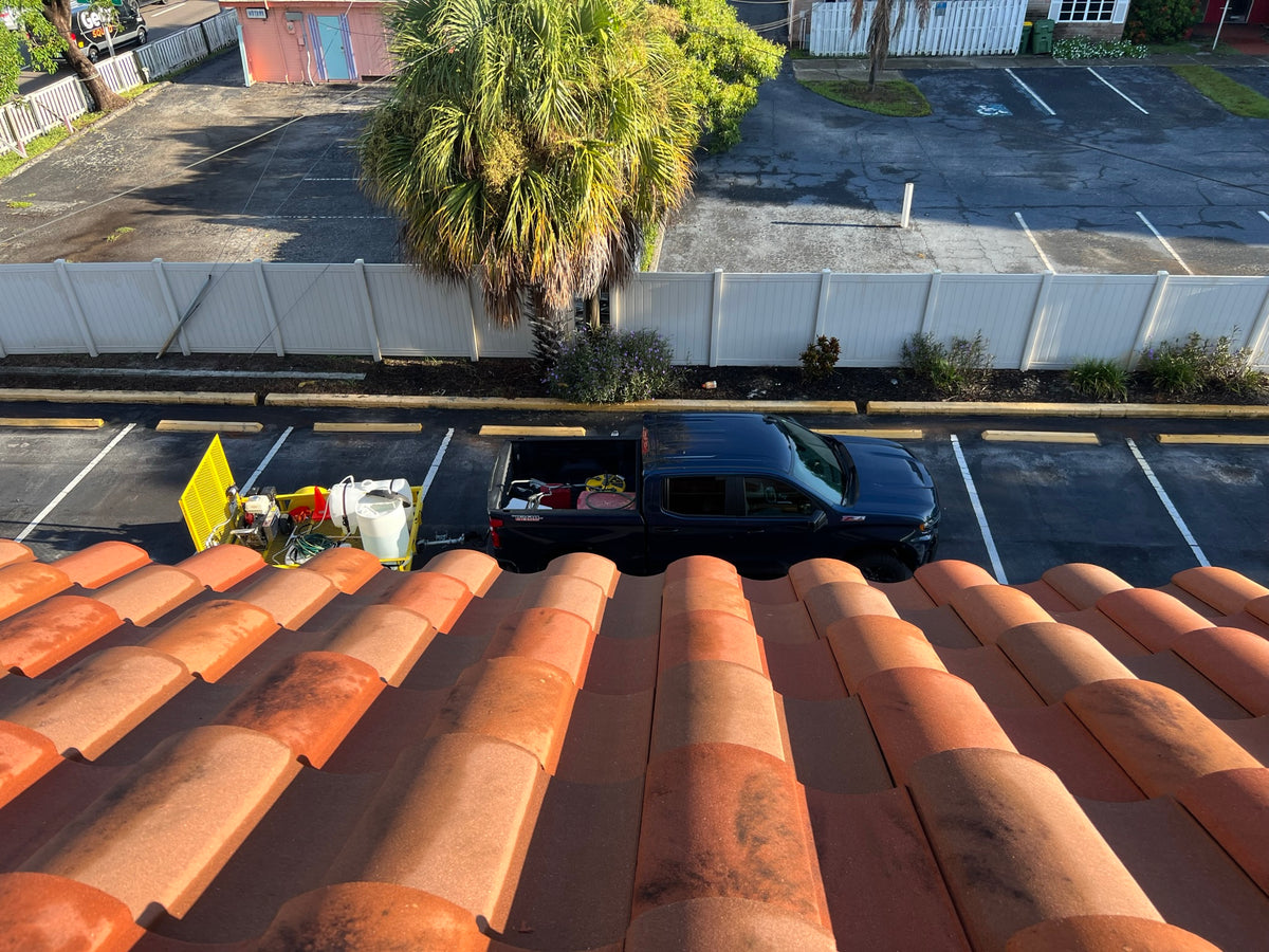 Roof Soft Wash after